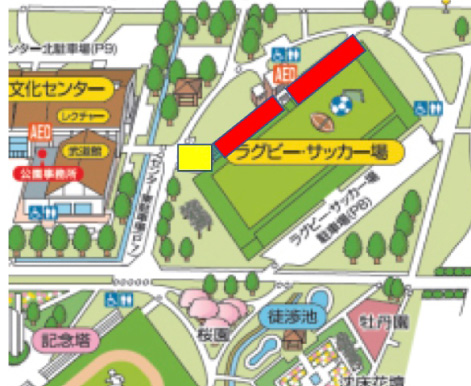 練習見学・ファンサービスについて