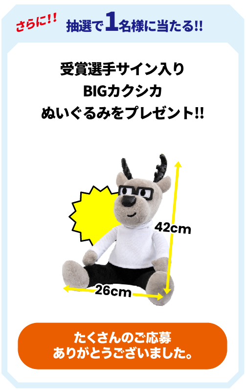 BIGカクシカぬいぐるみをプレゼント!!